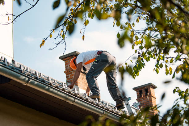 Best Green or Eco-Friendly Roofing Solutions  in Butner, NC